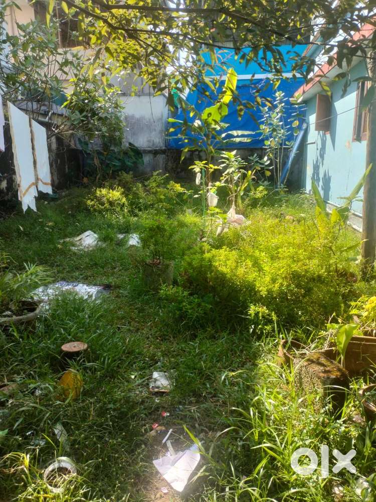 1.5 cent for sale at Ayyappankavu Ernakulam