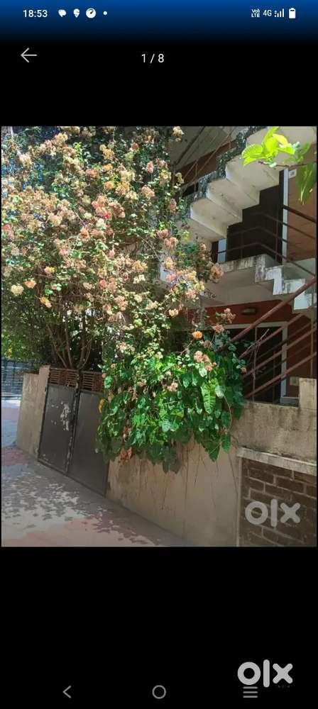 1 bhk studio appartment for rent in enchakkal