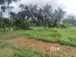 മുളന്തുരുത്തി ടൗണിൽ പാടത്തിന് സമീപം പ്രകൃതി രമണീയമായ ഹൗസ് പ്ലോ ട്ട്
