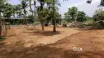 12 cents plot for sale in Thenkurussi, Palakkad