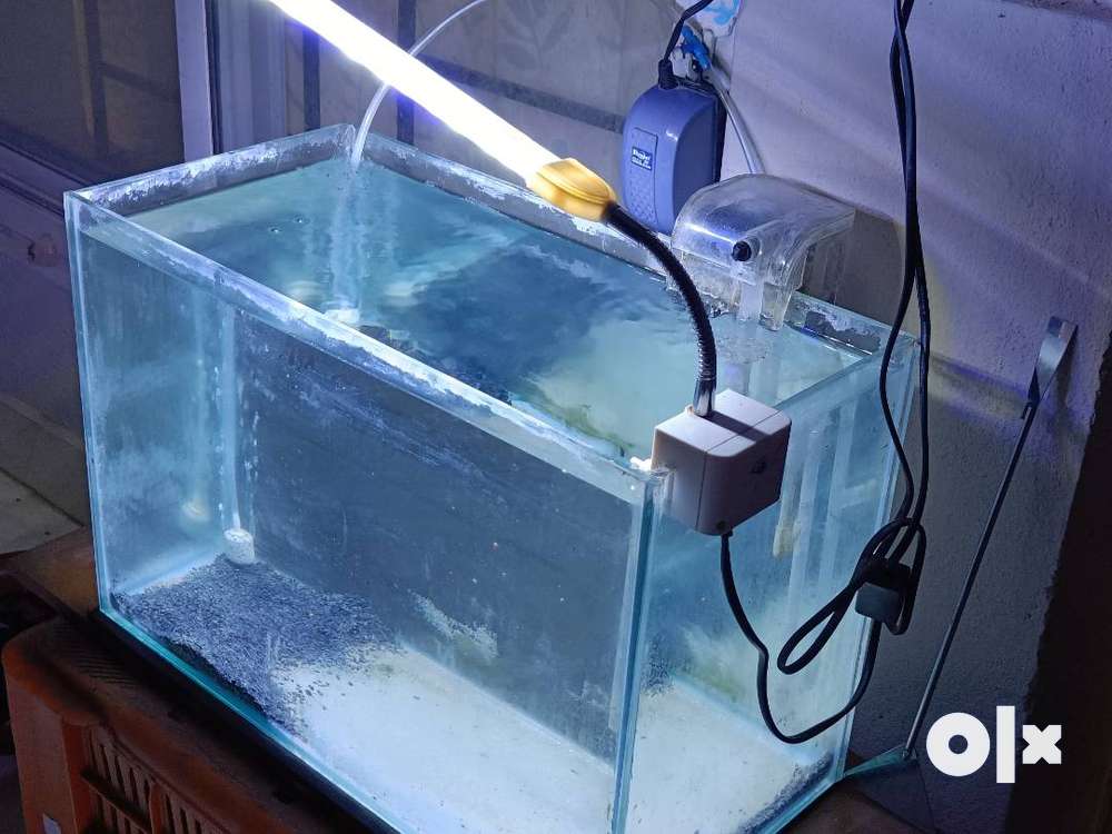 Aquarium - 45cmx22cmx30cm with filter , light & air pump