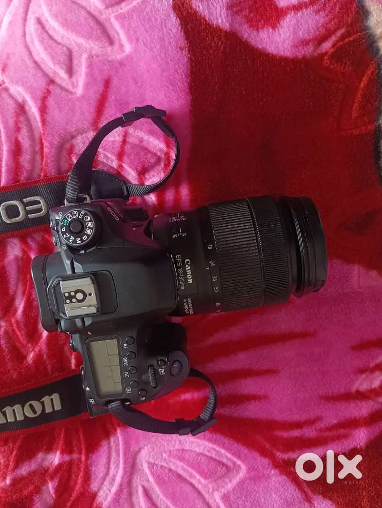 Canon 80D model