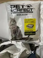 Cat Litter