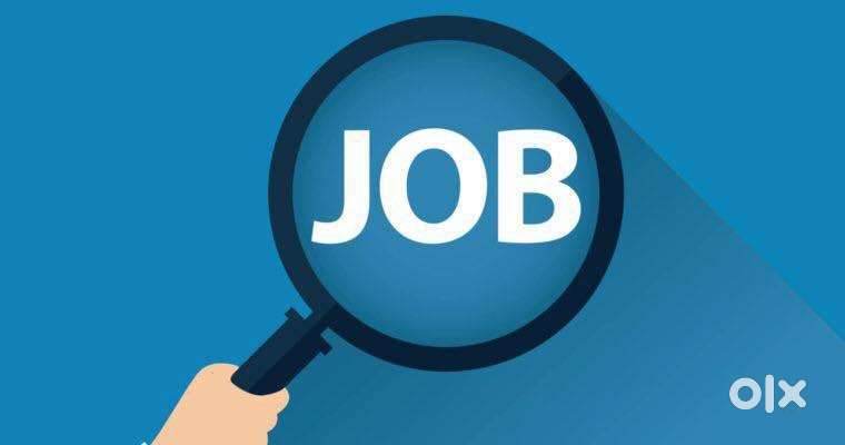 job for 10th, 12th, diploma, graduation, post graduation, ITI, MBA