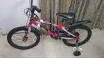 Sale of Cycle