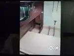 मकान किराए से देना है