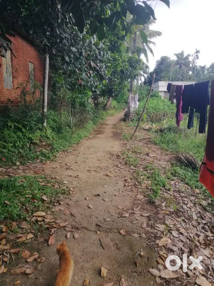 വീട് വാടകയ്ക്ക്‌