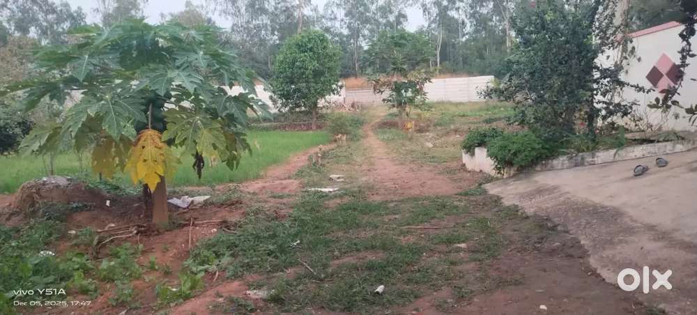 8000sft land for rent in kalkere bannergatta road