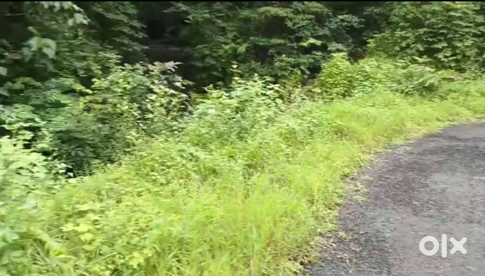 Land for sale poladpur