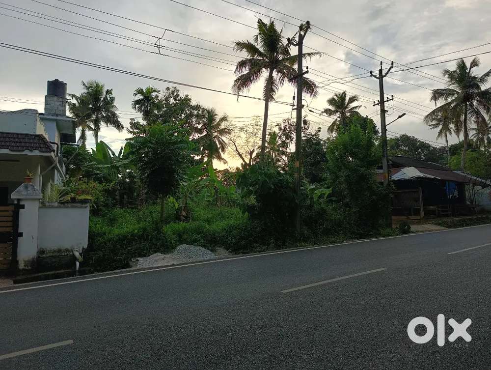 14 cent property for rent Anchal- karukone route - kanamcode