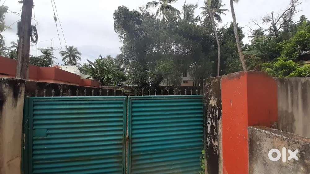 Located the center of the city