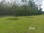 Plots and villas sale at mundur palakkad