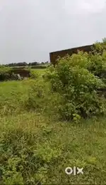 3, dismil 5 dismil 10 dismil 50  dismil