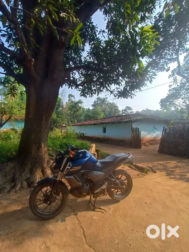 FZ baik2021 model