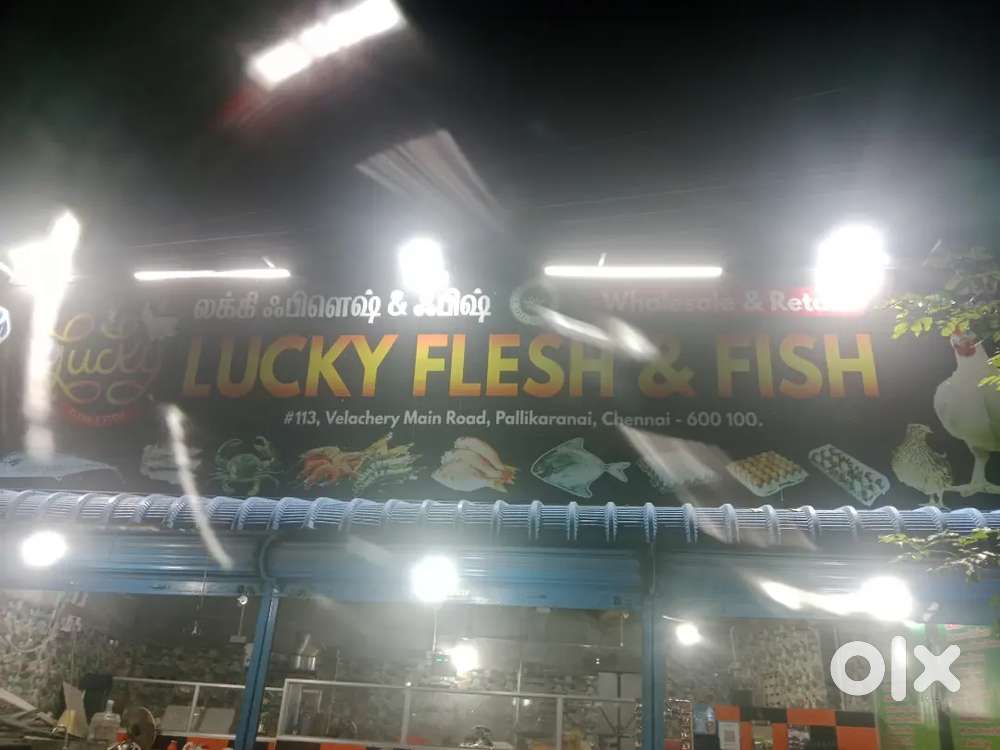 Mutton,Chicken & Fish cutting master and helper