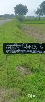Raj kamal holagha soram prayagraj
