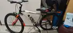 new bicycle for adult