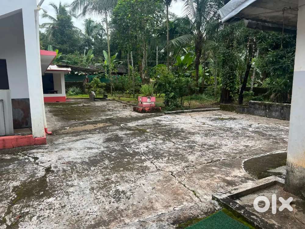 14 cent for sale (2lakhs per cent)