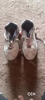 Skating shoes -1