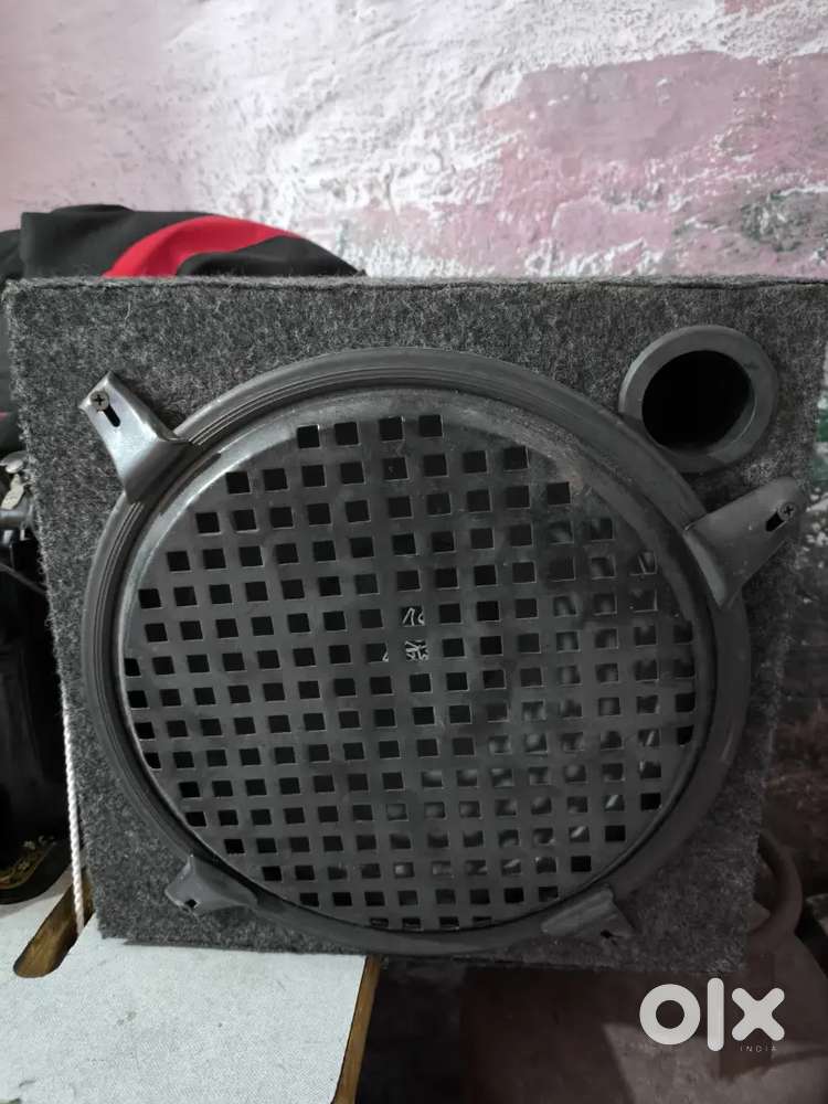 10 Inch Sony speaker