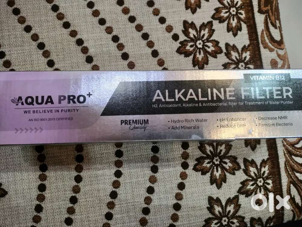 Alkaline filter