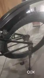 Child cycle