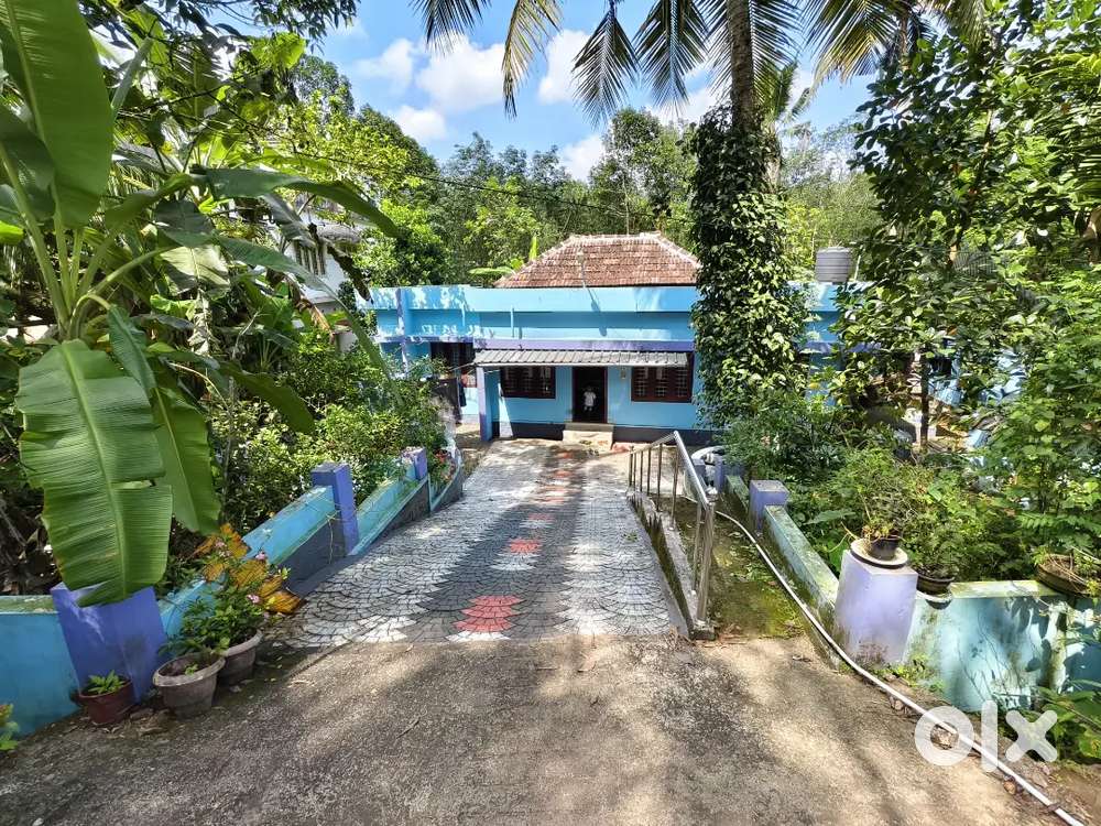 22 cent plot for sale in main road side