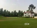 Independent Farmhouse Available For Rent In Chattarpur.