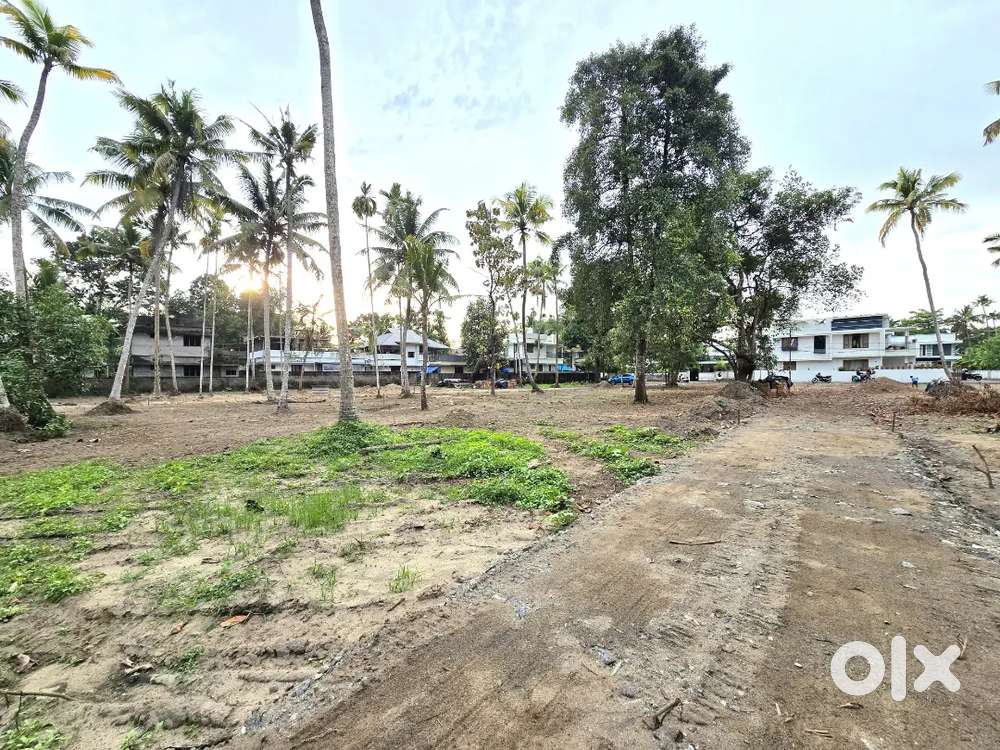 4 AND MORE CENT ORGINAL LAND  IN NORTH PARAVUR TOWN NEAR THONIYAKAV