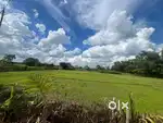 Land property Sale