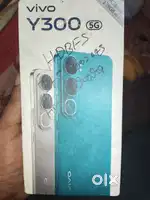 Vivo y300 model