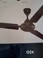 New BOSS  Ceiling fan-1200mm, 400RPM, copper  winding, 2 yr warranty.