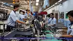 Immediately hiring for fresher students