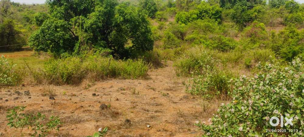 7 (1142)gunte plot Mumbai Goa highway touch nearby Ganpati Temple kuve