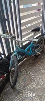 Blue cycle