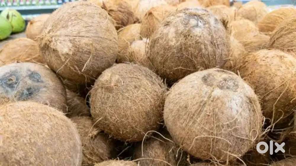 தேங்காய் மொத்த விலை மற்றும் சில்லறை விற்பனை