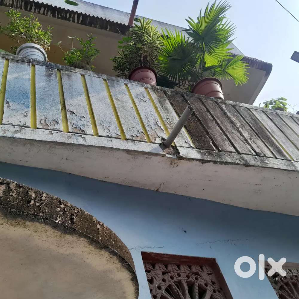 House for rent