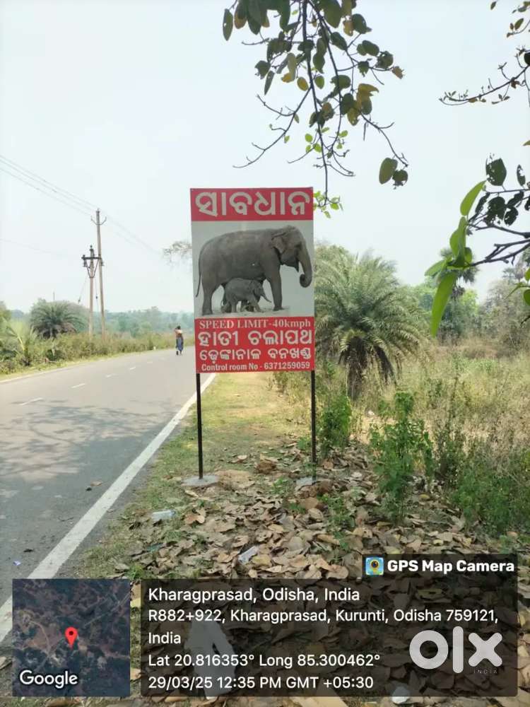 Sales and marketing executive