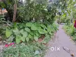 I want to sell my property
