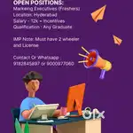 Need Marketing freshers