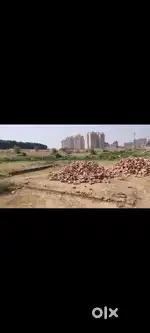 Near shakun