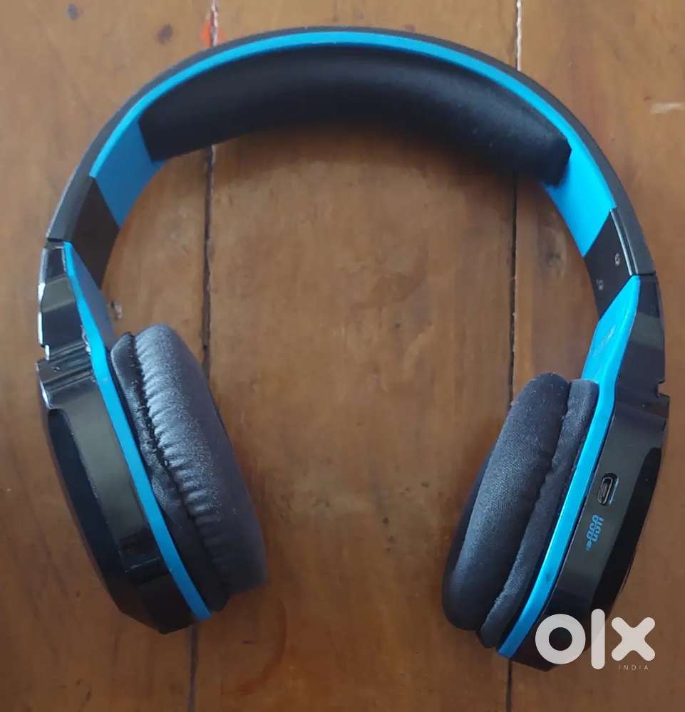 BOAT EARPHONES [Rockerz 510]