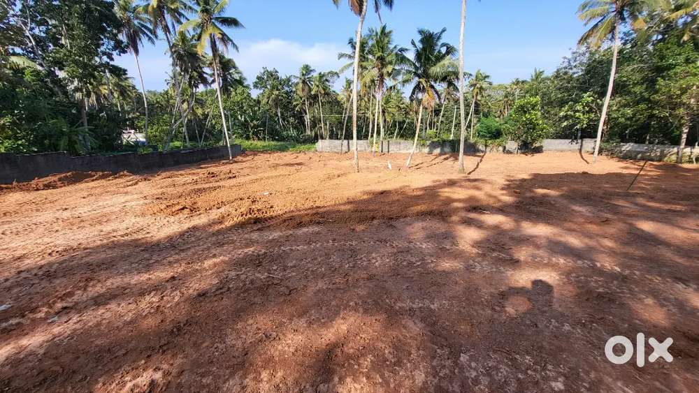 60 cent land for sale in kamukincode