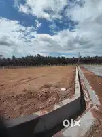 Low price DTCP land sale In Kinathukadavu Coimbatore