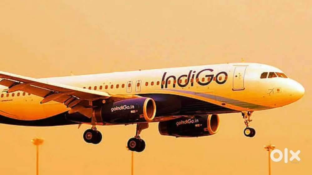 We are for the Indigo airlines. Fresher can apply urgent Hiring