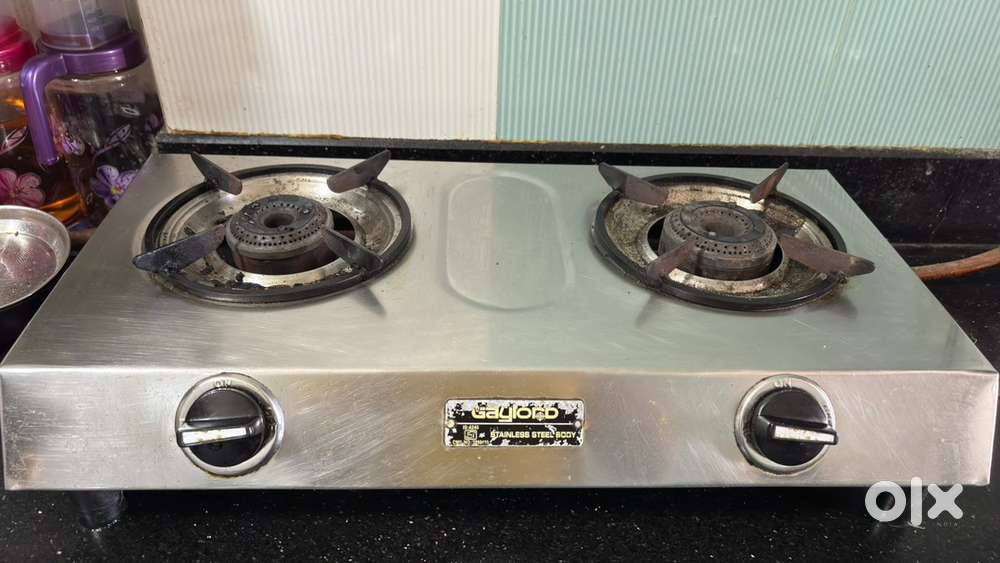 Stainless Steel 2 Burner Gas Stove
