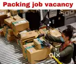 LOOKING FOR EMP FOR ECOMMERCE WORK TIMING (12;30PM TO 4:30PM)4HOUR DAY
