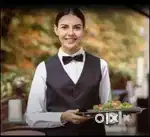 Hamare Pas Freshers Ke Liye Job or Room Available Hai