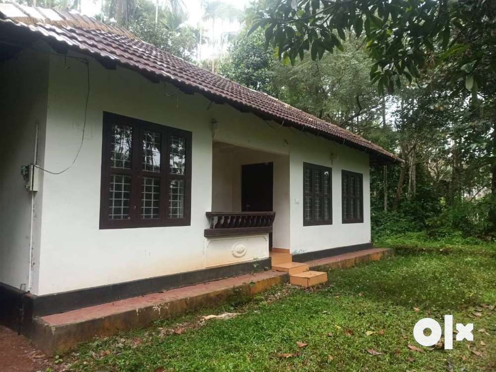 Charming 3BHK House On 50 Cents Of Land In Akg, Kenichira Wayanad