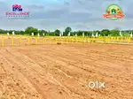 Farm lands